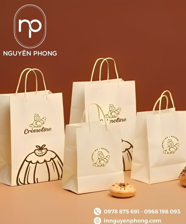 Mẫu túi giấy đựng nho khô in hình 